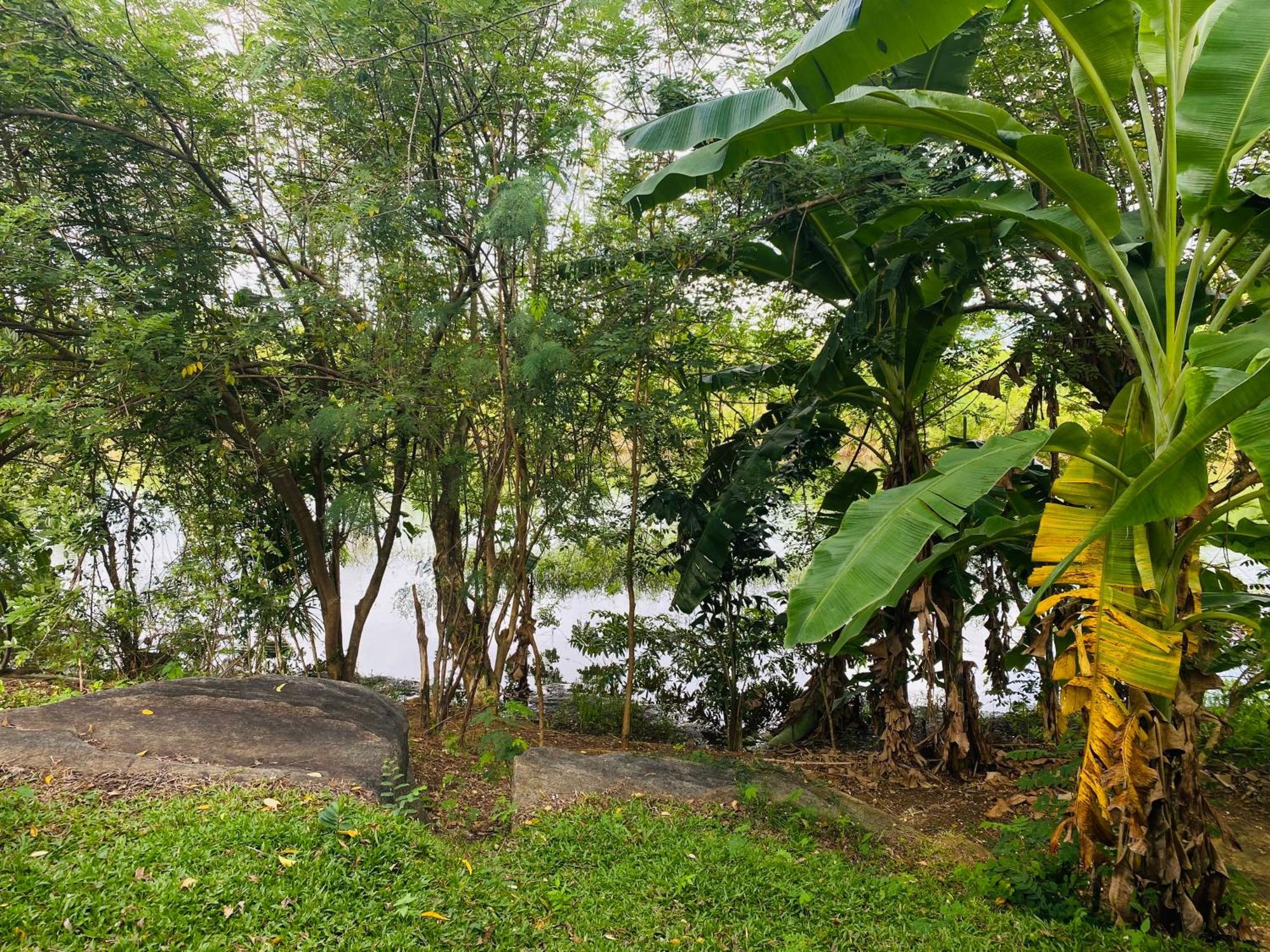 River Paradise Safari House With Cooking Class Udawalawe Exterior foto